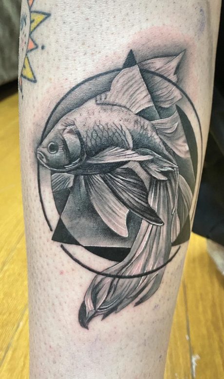 fish